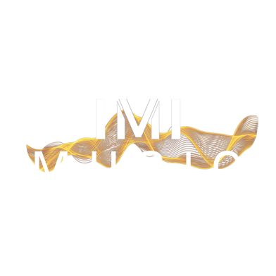 imi v 5