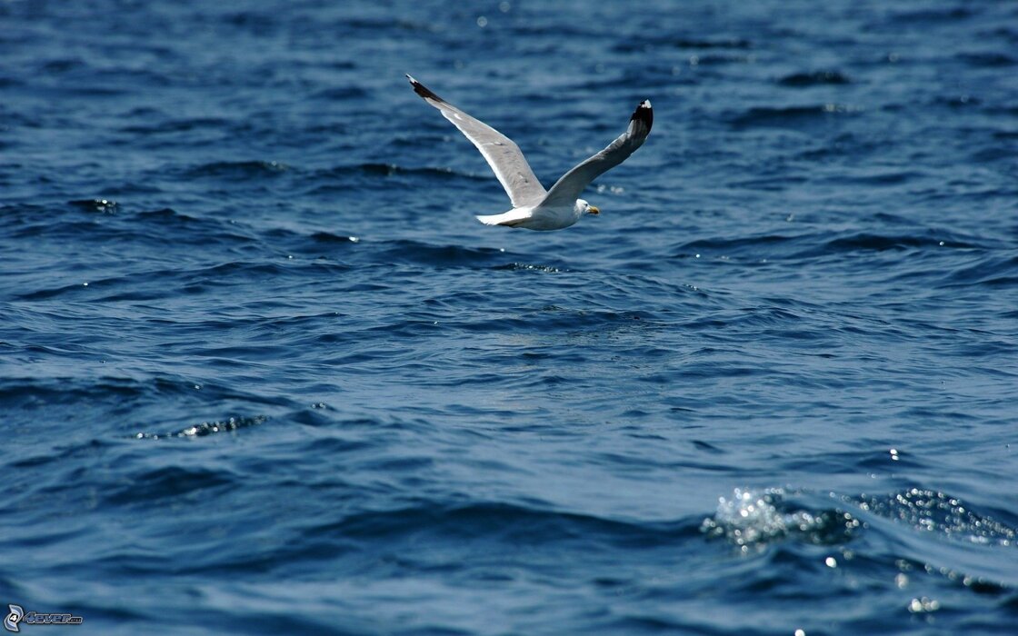 3ea655eff183591063caddba4ce026c3bd4347d4 3ea655eff183591063caddba4ce026c3bd4347d4