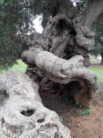 22875b7af58e916cce6e10e1726738b21e55cb9d