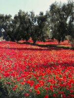 34919736499f160bd58b9cc5988c1d579857ace8