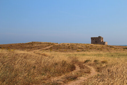 74d4f5c798ec1526f57a8681e0535358f7e22b95