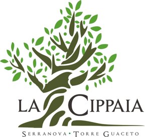 debd0bde4e799cef380b289fb2cdf01a07acbee5