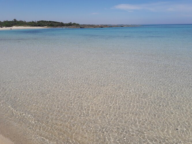 e5c345004b3d2723dbf2f4d744a62fd59eaee168