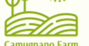 businesscardlogo.jpeg