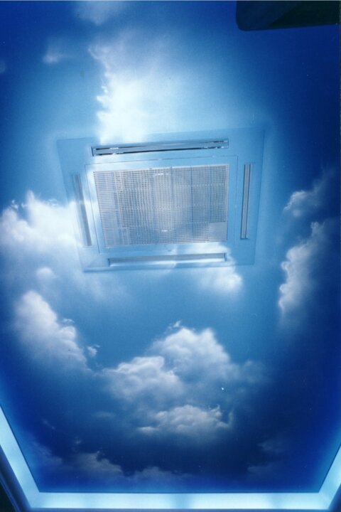 bunny center f. meda 1.jpeg