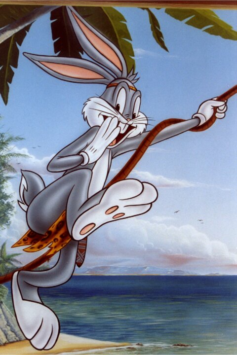 bunny center finocchio 2.jpeg