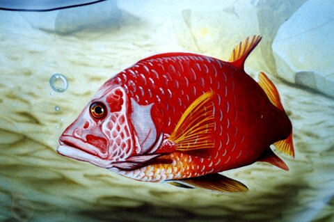 bunny center f. meda 5.jpeg