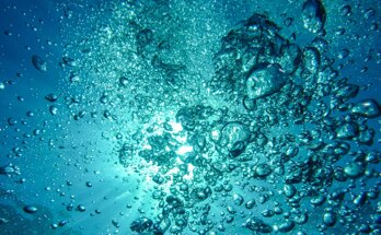 e12ec28a2852c31c1ab660642902a5ac689f5749.jpeg e12ec28a2852c31c1ab660642902a5ac689f5749.jpeg