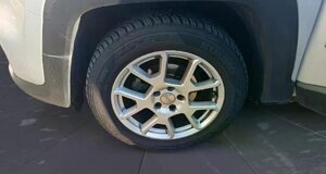 immagine 2026-04-01 201622.jpeg