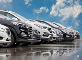 33529339-7203-43bb-a0c7-da4637ea3e53 33529339-7203-43bb-a0c7-da4637ea3e53