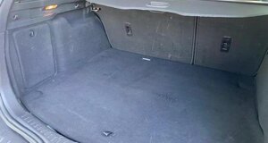 immagine 2026-04-01 201622.jpeg immagine 2026-04-01 201622.jpeg