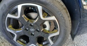 597336f5-ea14-4f67-ba3c-e848ea900871