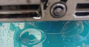 immagine 2026-04-01 201622.jpeg