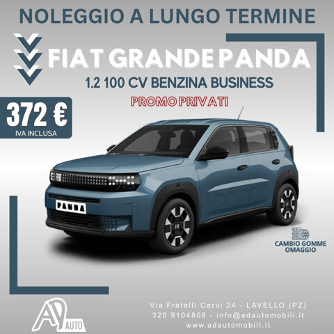 noleggio-lungo-termine-lavello-ad-auto-grande-panda.jpeg