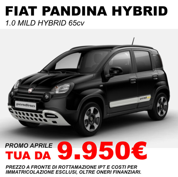 fiat-pandina-promo-lavello.jpeg