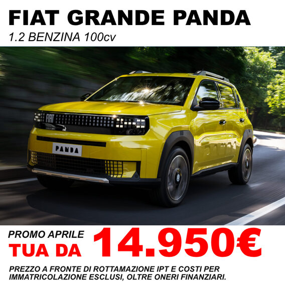 fiat-grande-panda-promo-ad-auto.jpeg