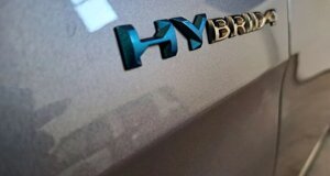 peugeot-3008-hybrid-usato-lavello-ad-auto-sedile-posteriore.jpeg