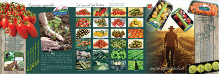 20f039a10ab36065c813fa070948417a763de63c