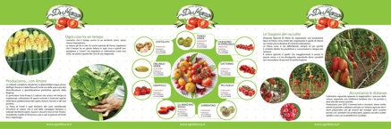 d9340c3f7f7079c86ac9ee8fe4ffee5b1a8c2a87