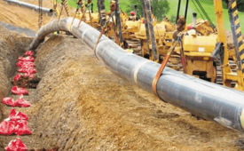 77919a320a307058e8e9ddb92211a346e460d6dc