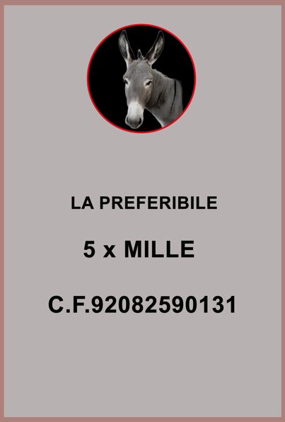immagine whatsapp 2025-05-03 ore 11.09.05_426b8f52.jpeg