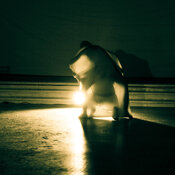 festival, rassegne, vetrine, concorsi, teatro del paesaggio, interventi urbani, città spettacolo