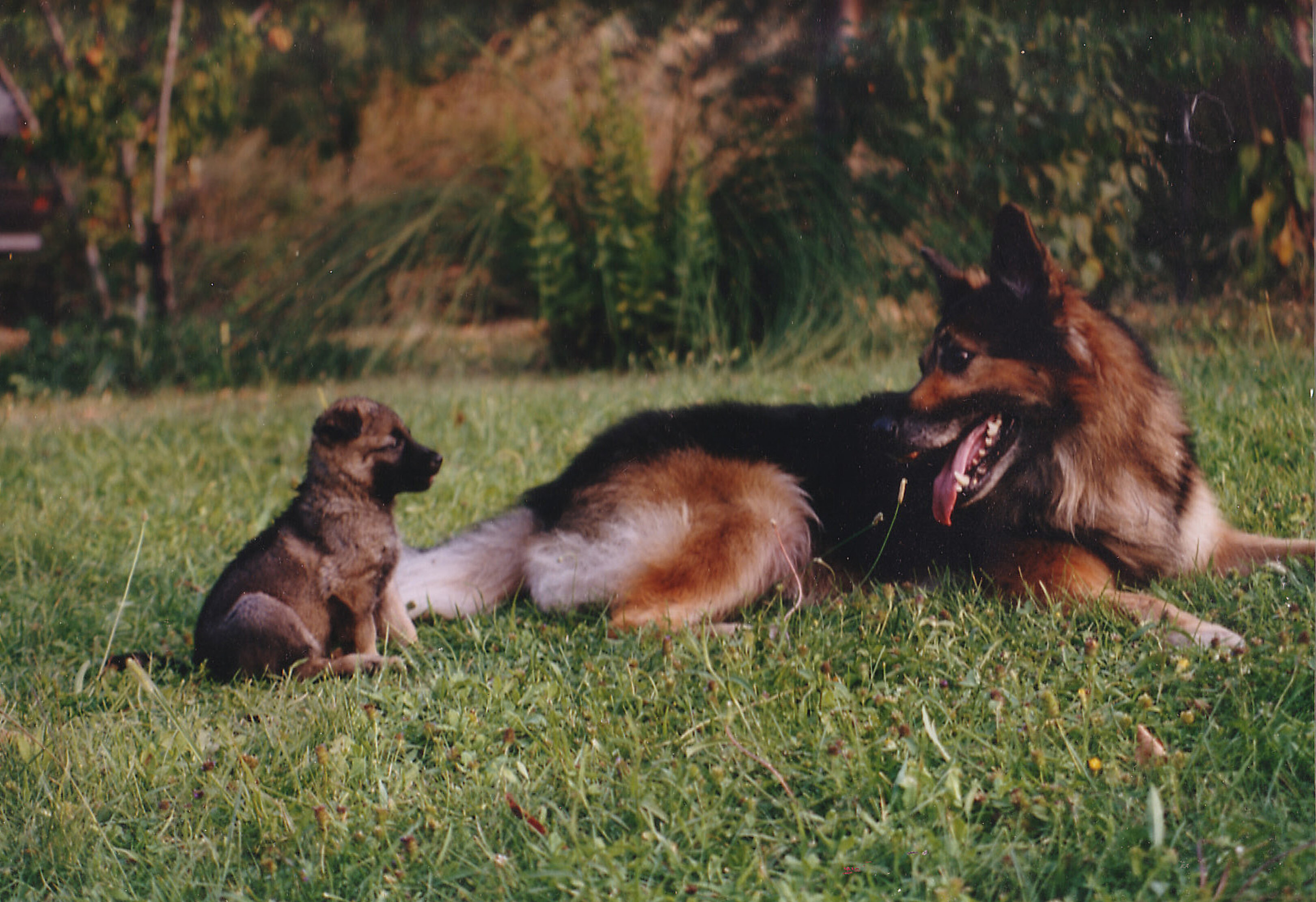 5f10aca2d01c892b780916be83754eb6dafcbf6c 5f10aca2d01c892b780916be83754eb6dafcbf6c