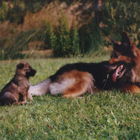 5f10aca2d01c892b780916be83754eb6dafcbf6c