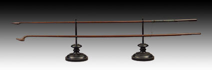 The Tartini's bows The Tartini's bows