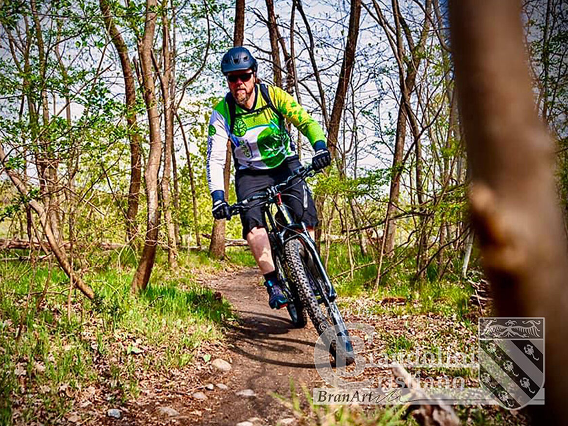 Guide naturalistiche, artistico-storico-archeologiche.