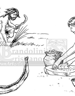 Mietitura e macinatura dei cereali nella preistoria.