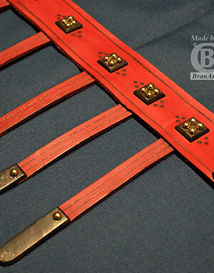 Cintura longobarda tipologia 