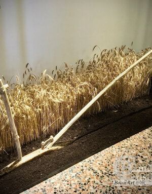 Ricostruzione aratro preistorico.