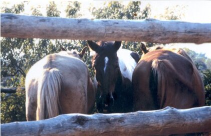 efcd537f-c537-4bcf-bd2c-30401c4aef39 efcd537f-c537-4bcf-bd2c-30401c4aef39