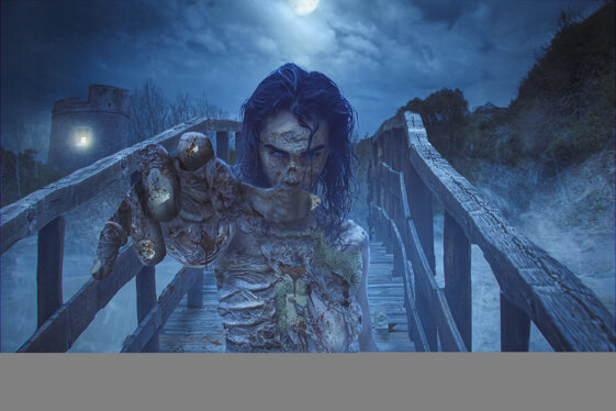 2f862aec-ef1f-4767-bb8f-eeb24d0d422e 2f862aec-ef1f-4767-bb8f-eeb24d0d422e