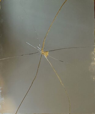 spider - 2023 - tecnica mista su specchio - cm 60 x 75 - quotazione € 1.200,00.jpeg (1).jpeg