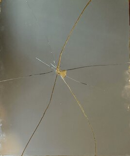 spider - 2023 - tecnica mista su specchio - cm 60 x 75 - quotazione € 1.200,00.jpeg (1).jpeg