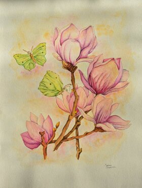 4a4b14e5-3030-4111-aa88-e2ffd1ab3b3a