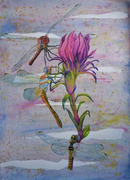 d62a4eee-59a0-4227-8f05-059aad941e5d d62a4eee-59a0-4227-8f05-059aad941e5d