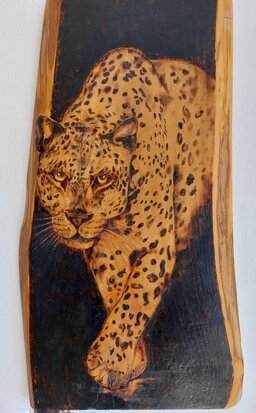 9de15d52-21a1-4687-964d-01b5a661bed2 9de15d52-21a1-4687-964d-01b5a661bed2