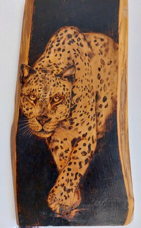 9de15d52-21a1-4687-964d-01b5a661bed2