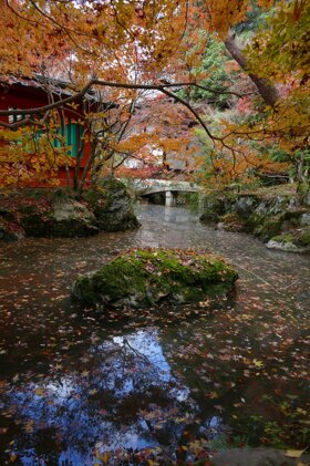 40ec2a42-c463-4110-957c-ac4700a89f26 40ec2a42-c463-4110-957c-ac4700a89f26