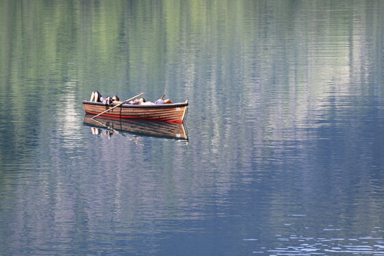 555dd37f-3a00-499a-8f2e-5d1c9252655b 555dd37f-3a00-499a-8f2e-5d1c9252655b