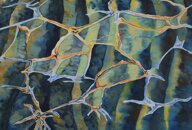 9ca40025-377a-4f73-8db2-4886e19dfc79.jpeg 9ca40025-377a-4f73-8db2-4886e19dfc79.jpeg