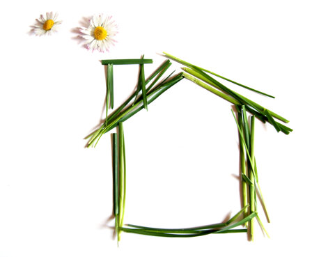 adobestock_7366382.jpeg adobestock_7366382.jpeg