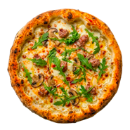 fisarmonica fisarmonica