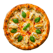 fichissima fichissima