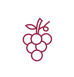 icone-vino-11