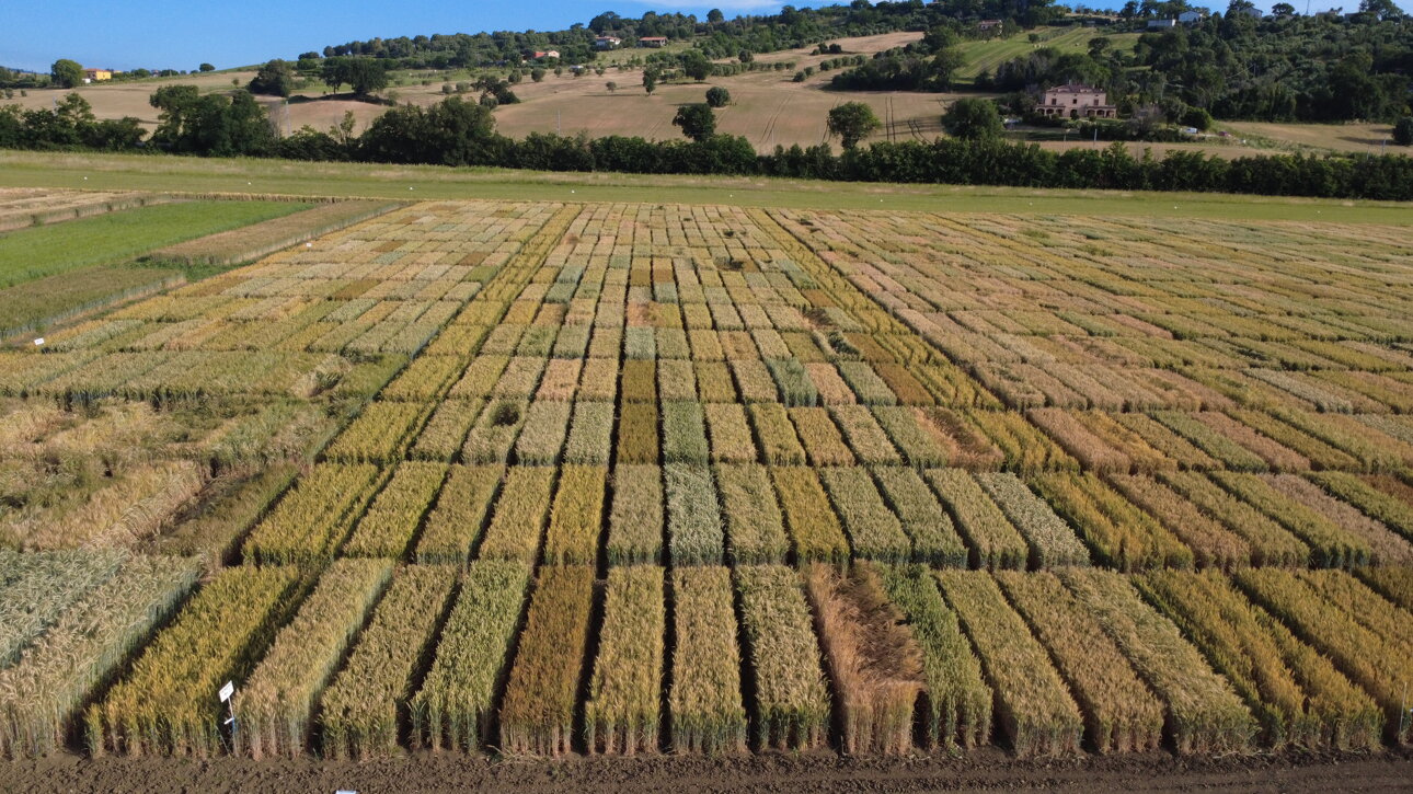 dji_0360-tenero.jpeg