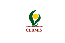 logo cermis vettoriale logo cermis vettoriale